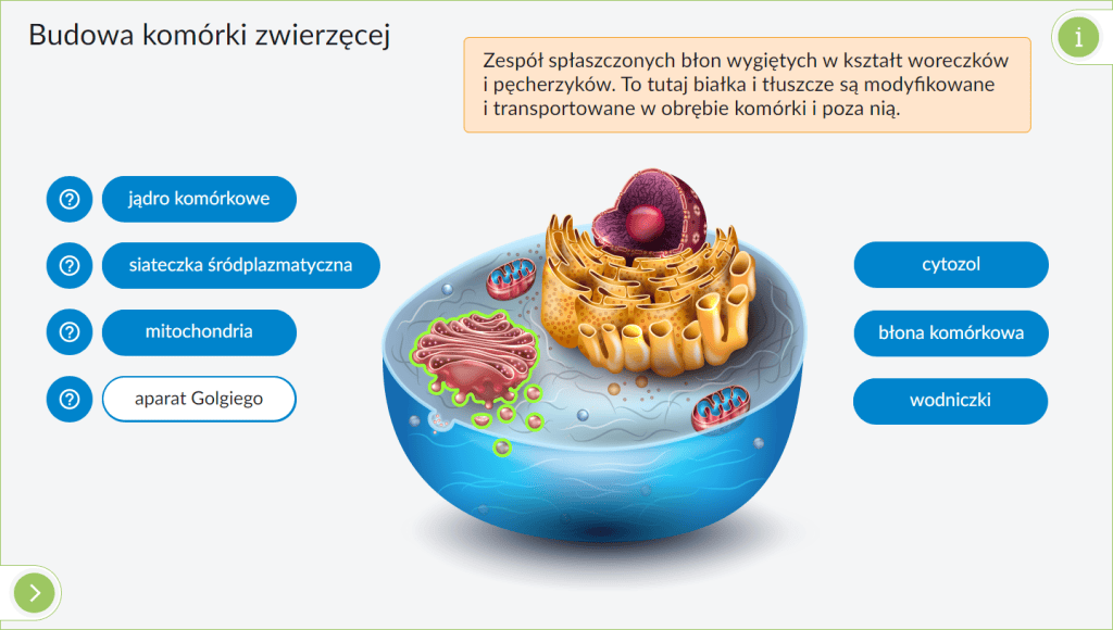 Interaktywne Plansze Przyrodnicze